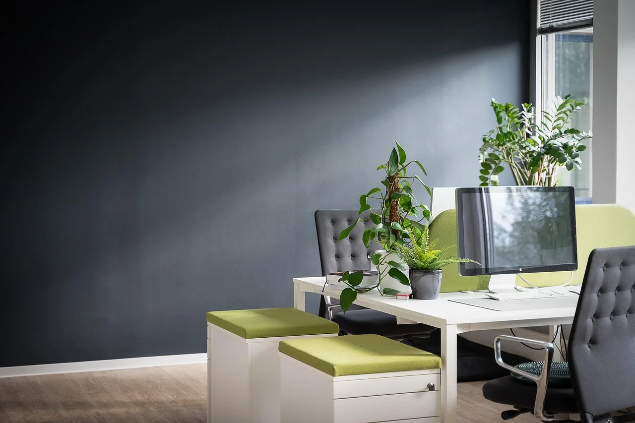 work, desk, office, management, bureaucracy, design, agency, indoor plants, success, company, business, project, planning, interior, furniture, setup, workplace, monitor, digital, job, training