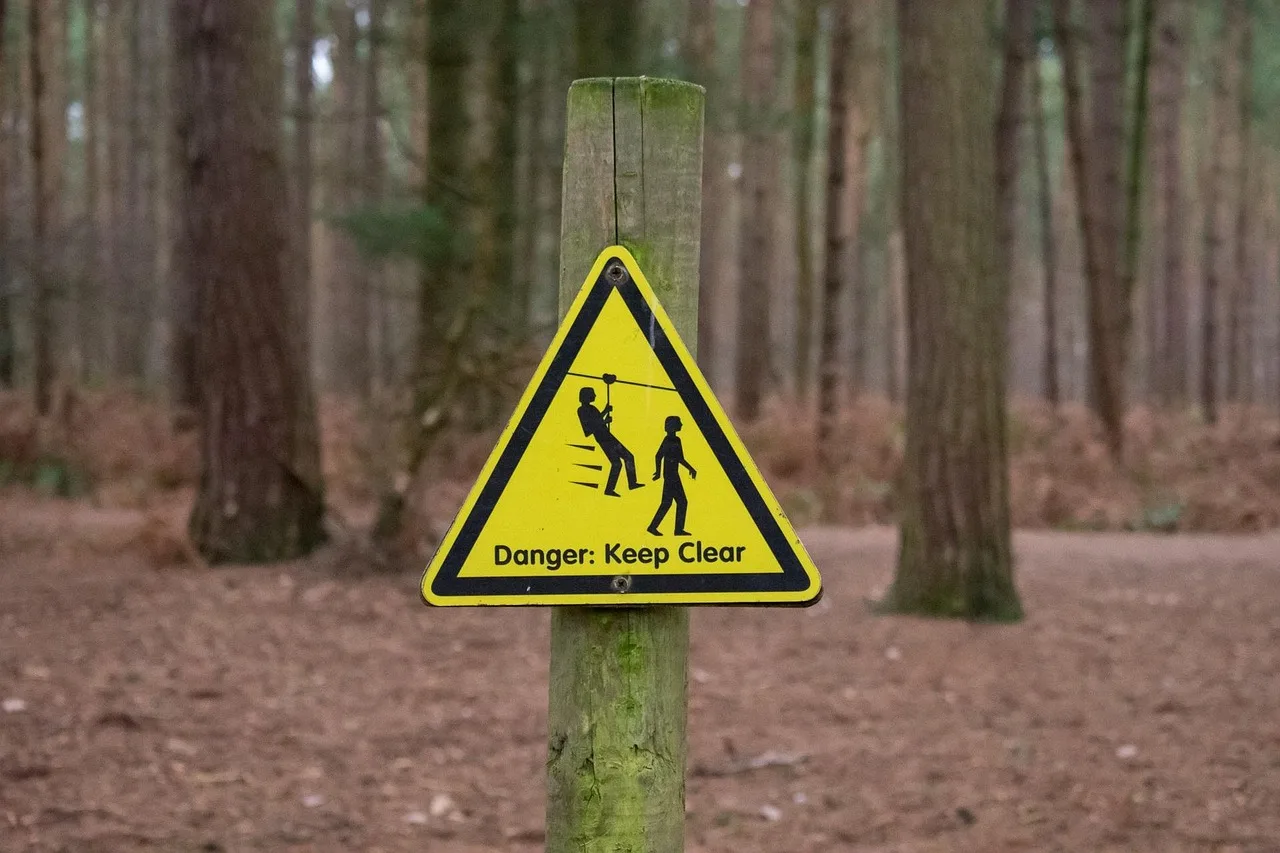road, wood, warning, danger, nature, guidance, safety, caution, sign, alert, yellow, attention, risk, symbol, notice, brown safety