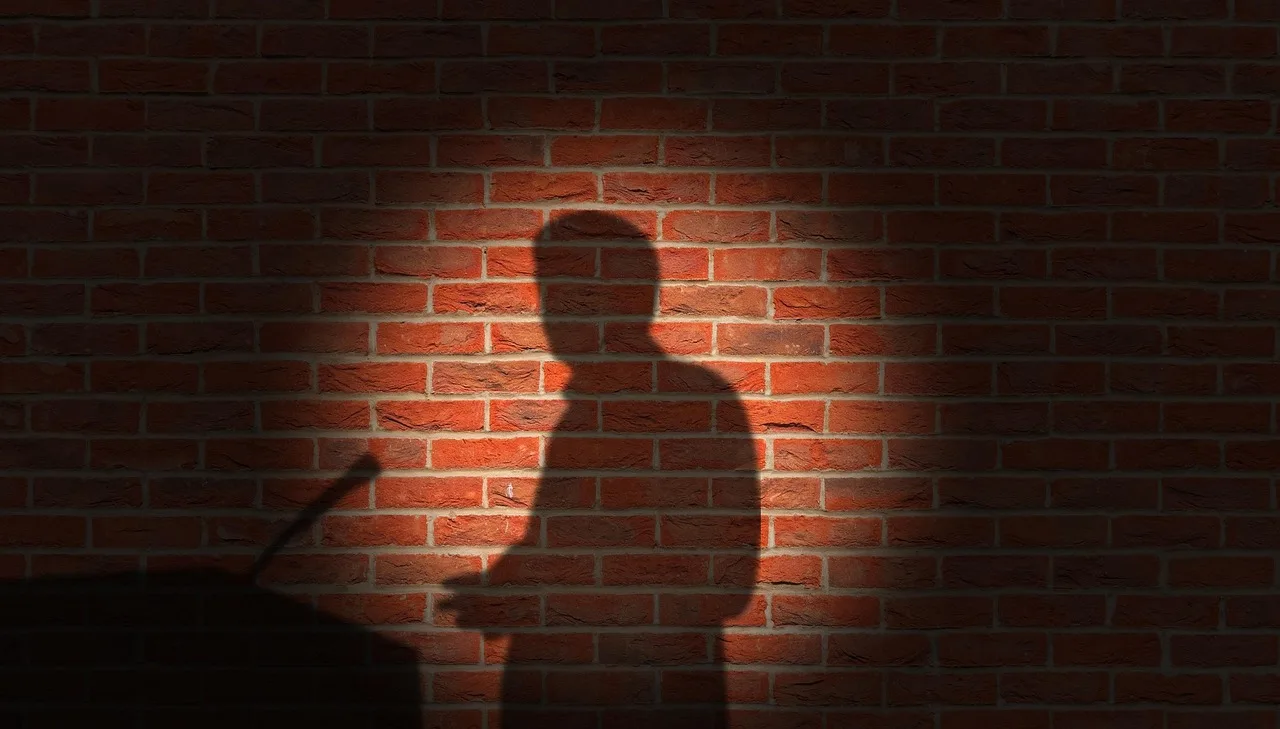 brick wall, shadow, speaker, silhouette, microphone, conference, speech, presentation, meeting, lecture, press, speech, speech, speech, speech, speech